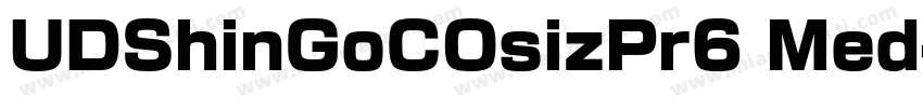 UDShinGoCOsizPr6 Med字体转换